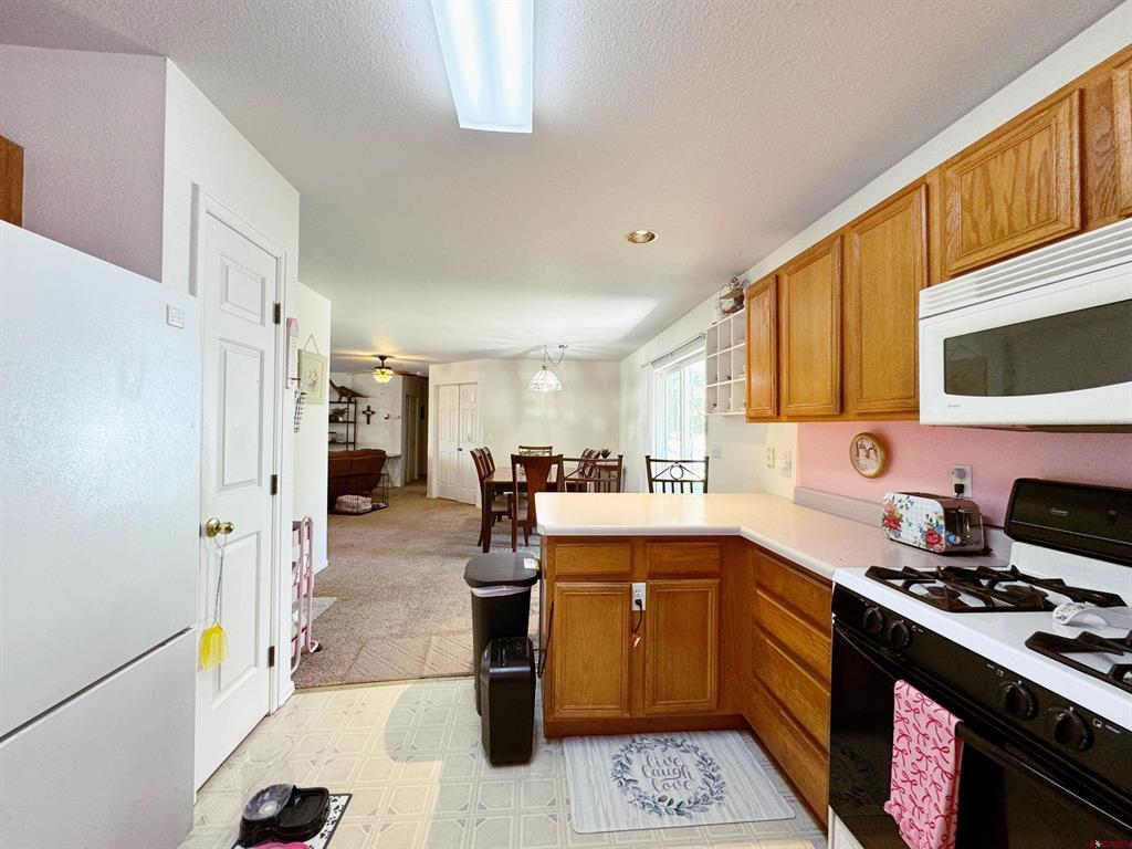 1649 Sneffels Street Montrose CO 81401