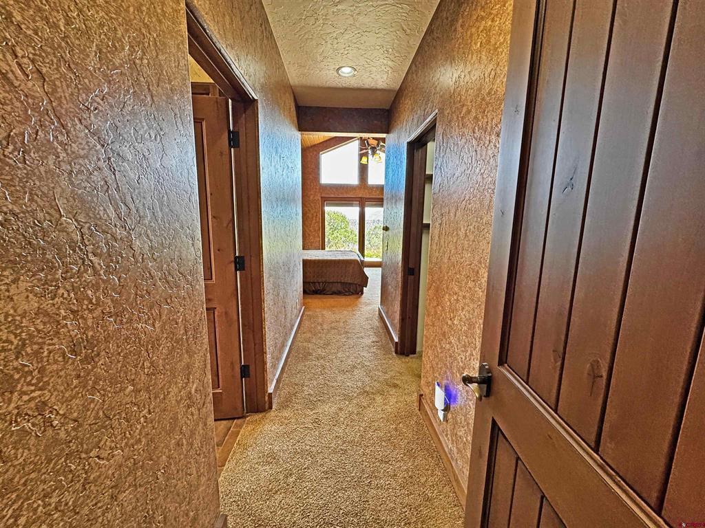 509 Black Bear Trail South Fork CO 81154