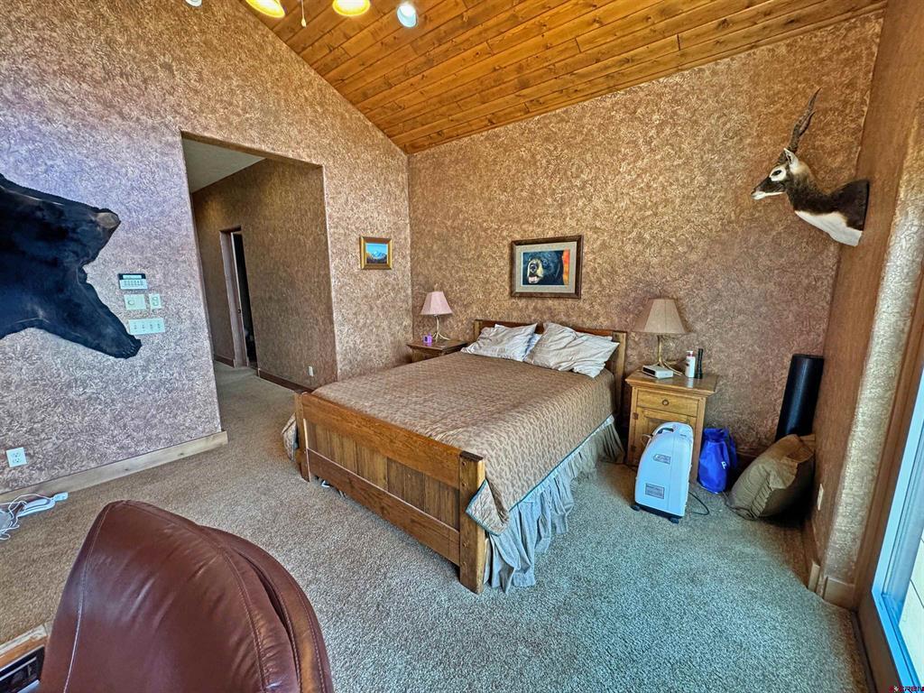 509 Black Bear Trail South Fork CO 81154