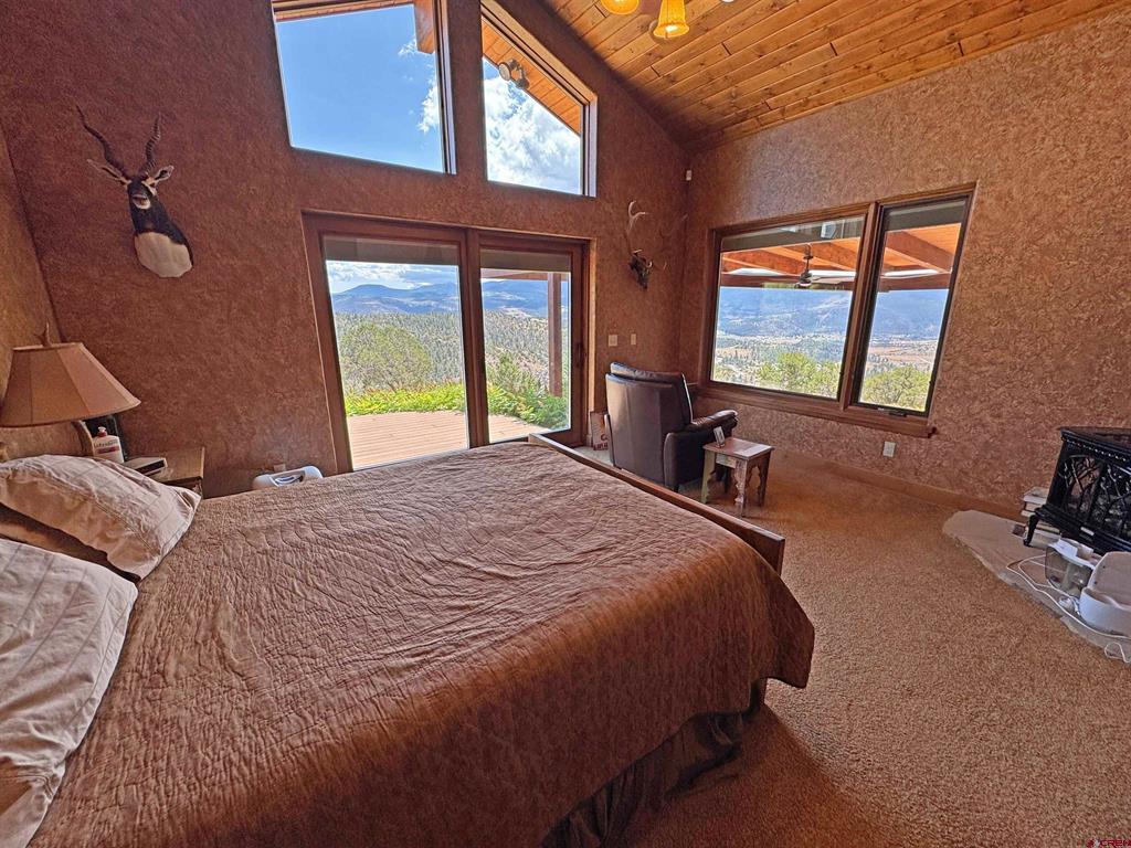 509 Black Bear Trail South Fork CO 81154