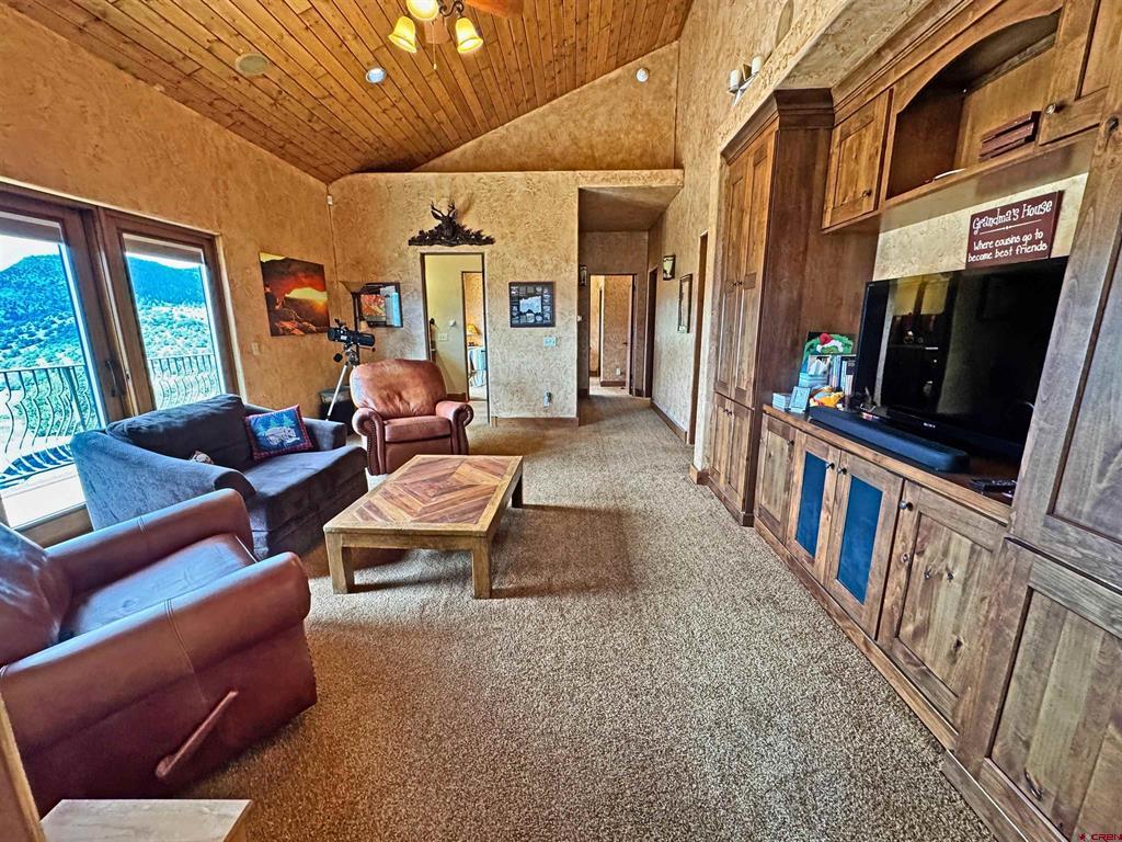 509 Black Bear Trail South Fork CO 81154