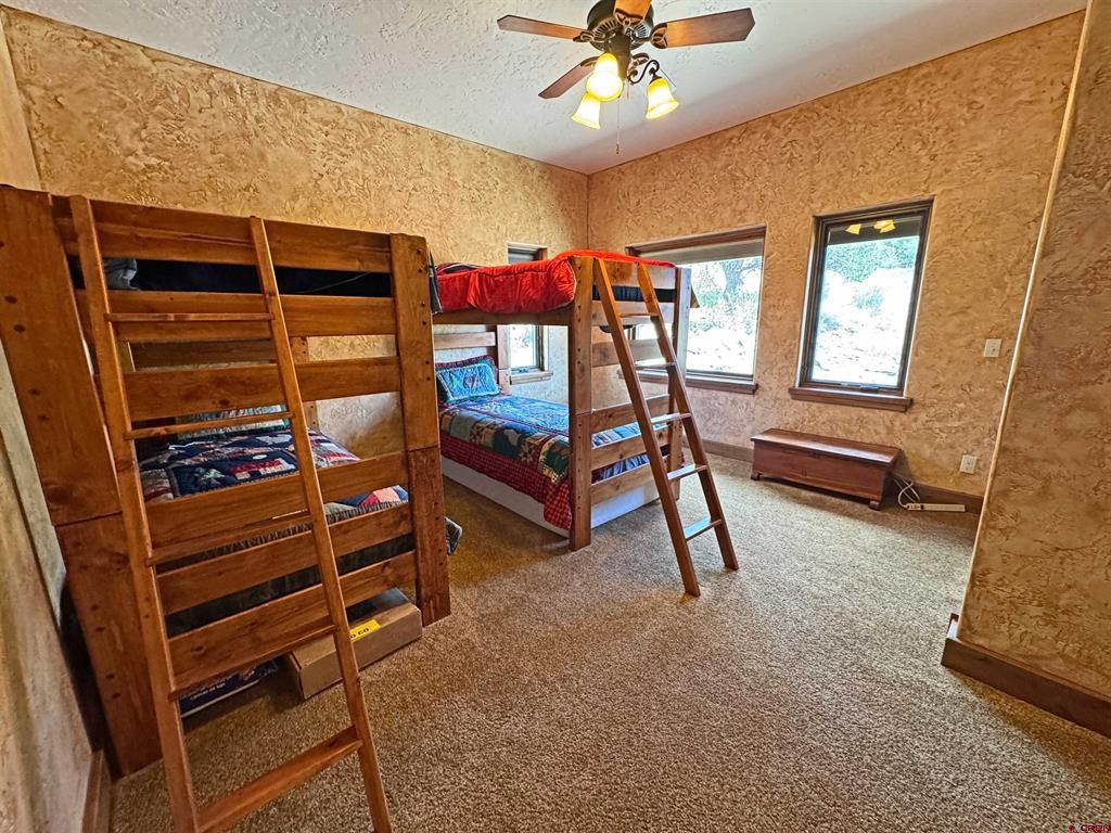 509 Black Bear Trail South Fork CO 81154