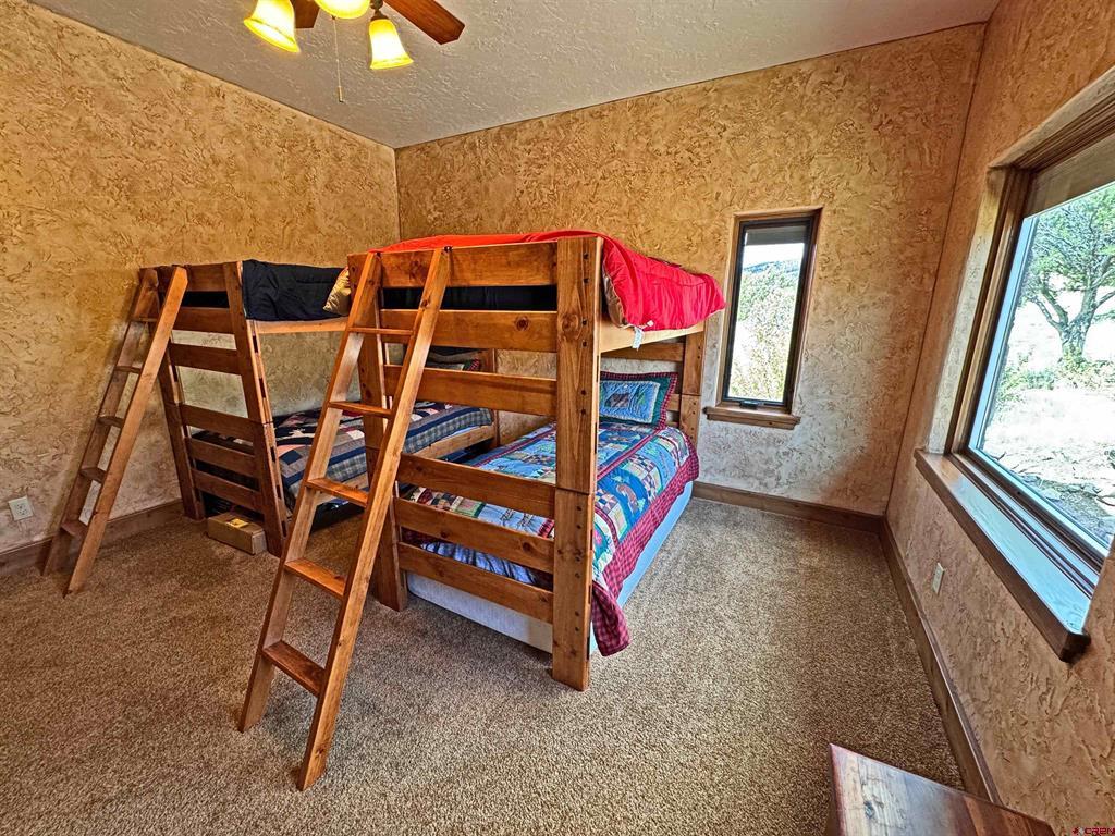 509 Black Bear Trail South Fork CO 81154