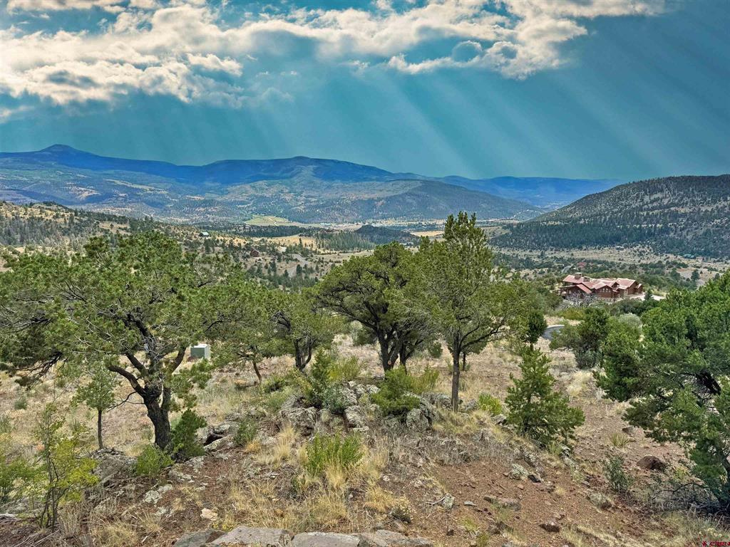509 Black Bear Trail South Fork CO 81154