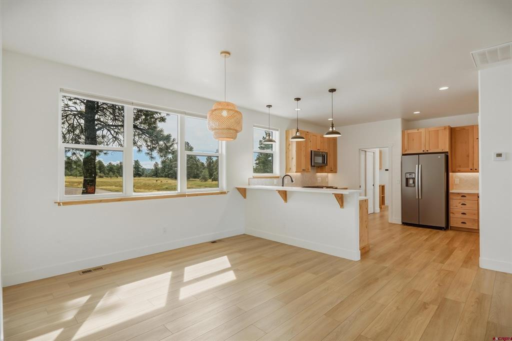 207 Domicile Circle Pagosa Springs CO 81147