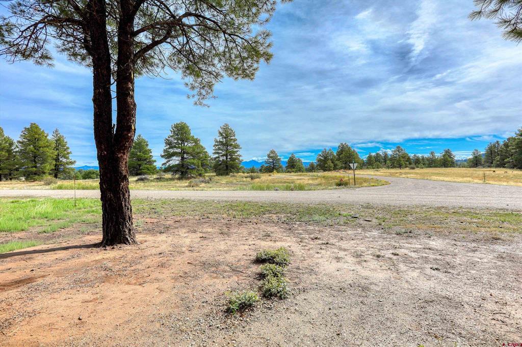 207 Domicile Circle Pagosa Springs CO 81147
