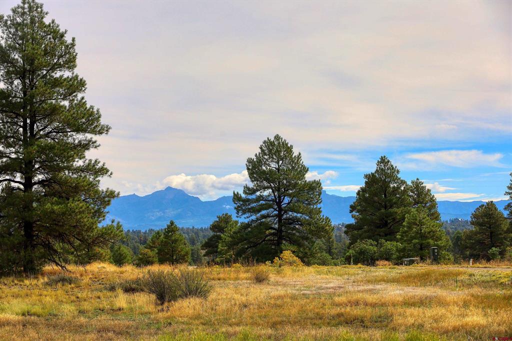 207 Domicile Circle Pagosa Springs CO 81147