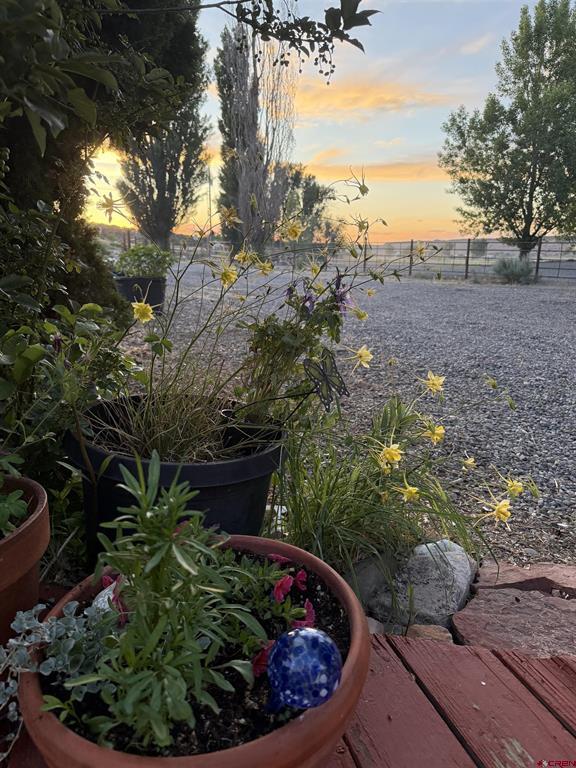 17018 Shavano Valley Road Montrose CO 81403