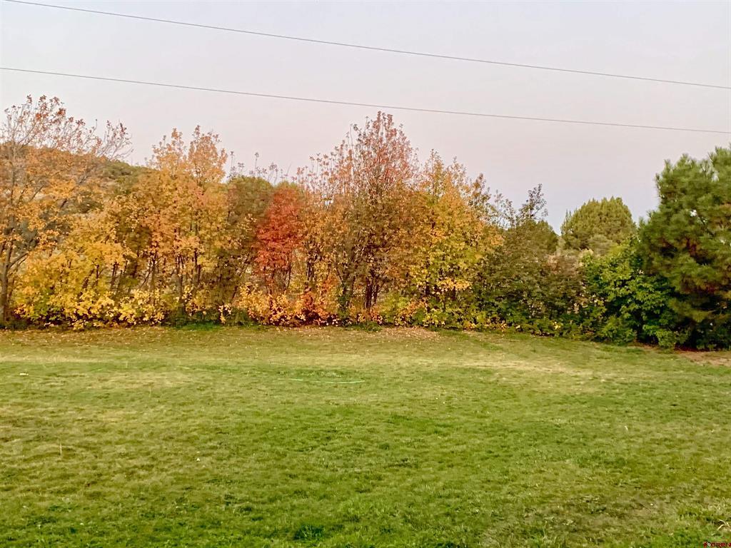 17018 Shavano Valley Road Montrose CO 81403