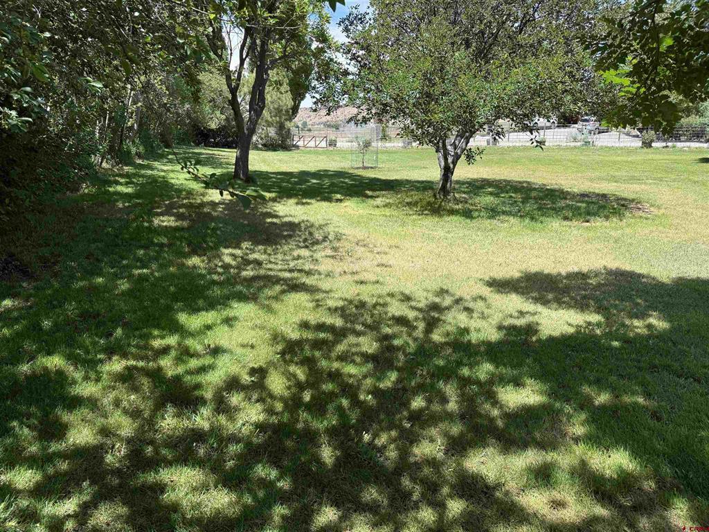 17018 Shavano Valley Road Montrose CO 81403