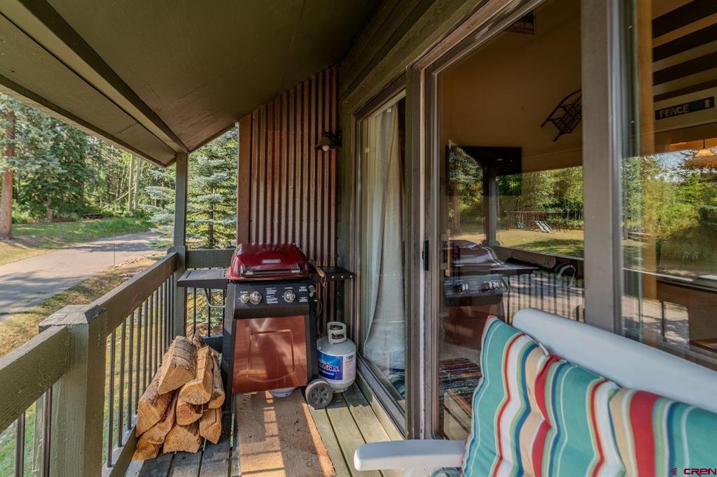 166 Yankee Girl Court Durango CO 81301