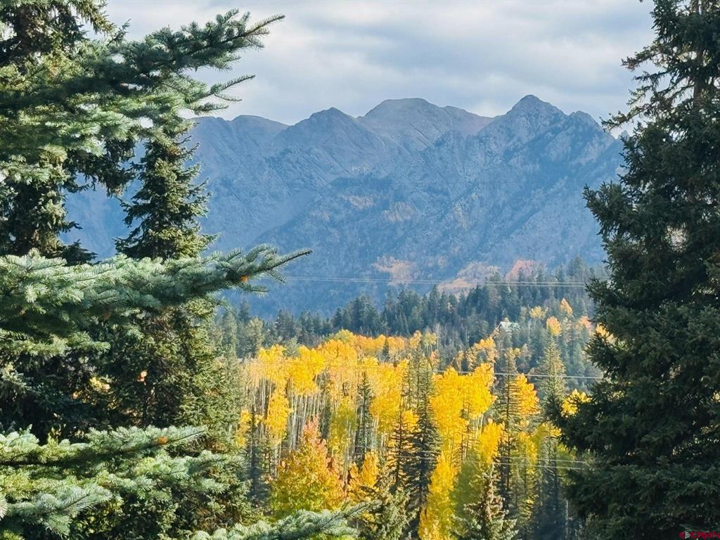 166 Yankee Girl Court Durango CO 81301