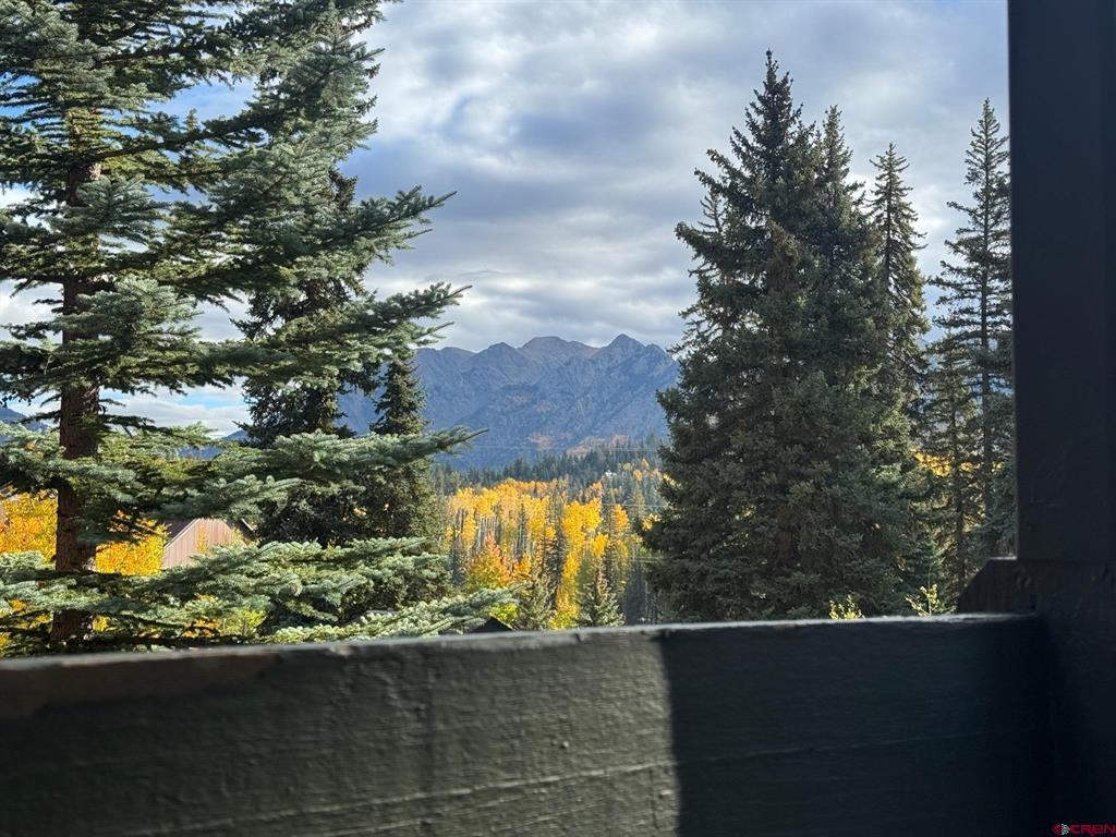 166 Yankee Girl Court Durango CO 81301