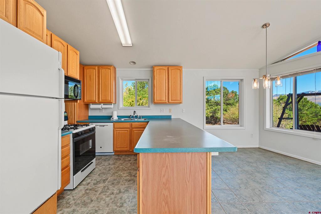 585 E Pinon Road Ridgway CO 81432