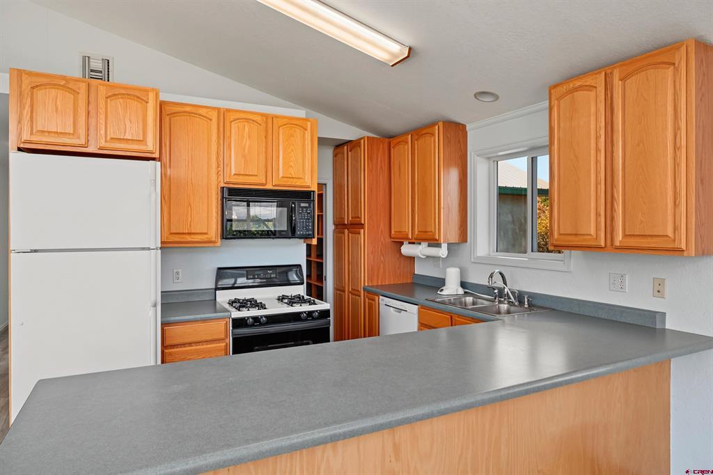 585 E Pinon Road Ridgway CO 81432