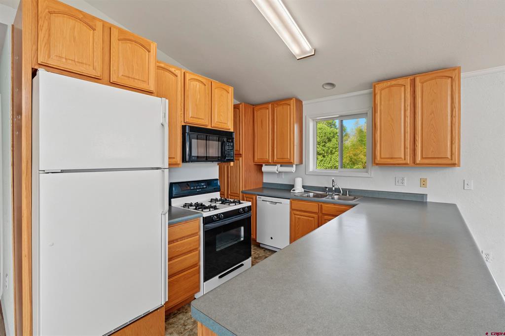 585 E Pinon Road Ridgway CO 81432