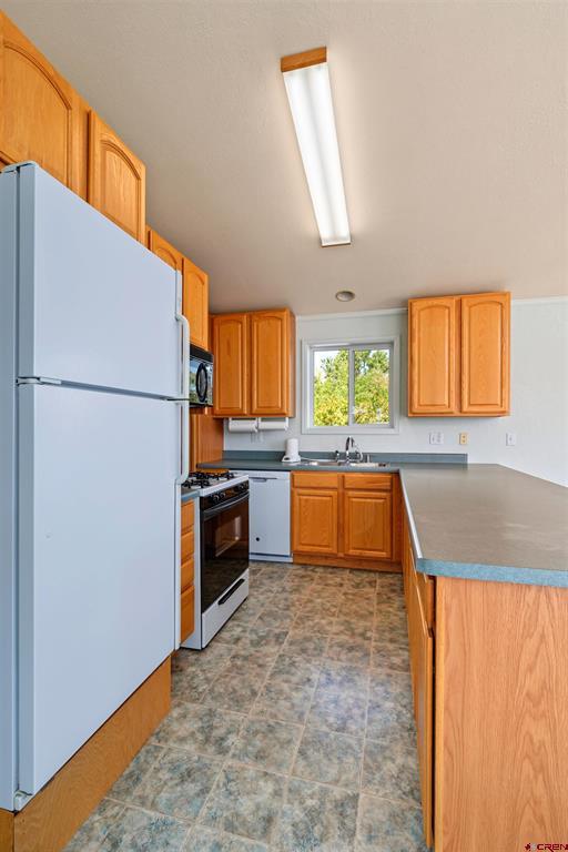 585 E Pinon Road Ridgway CO 81432