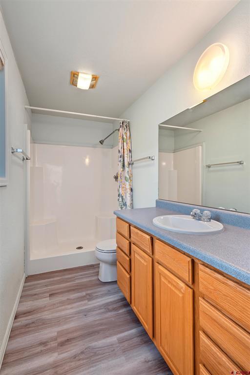 585 E Pinon Road Ridgway CO 81432