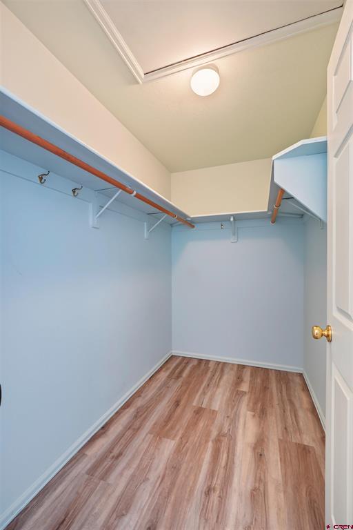 585 E Pinon Road Ridgway CO 81432