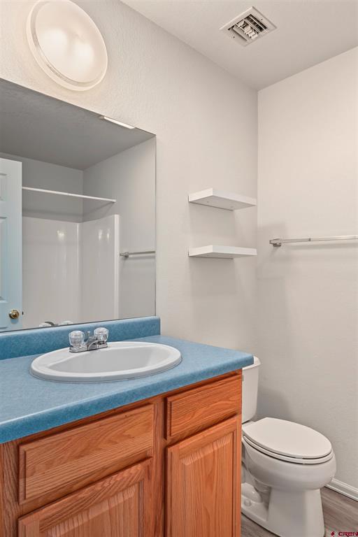 585 E Pinon Road Ridgway CO 81432