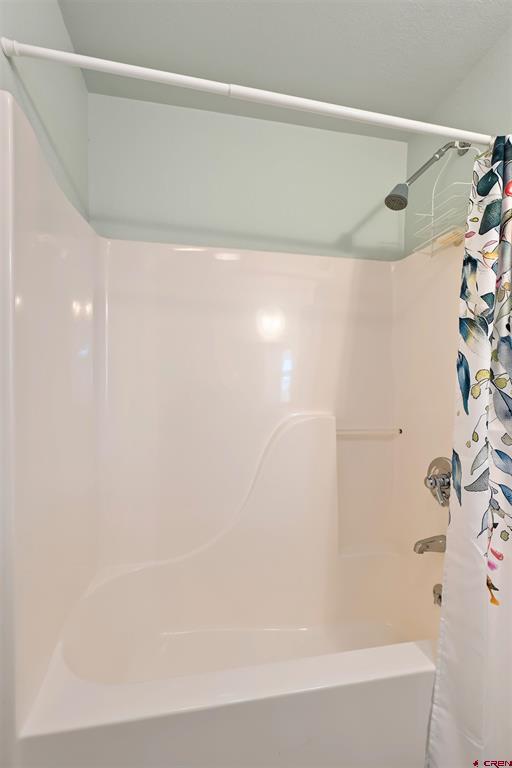 585 E Pinon Road Ridgway CO 81432