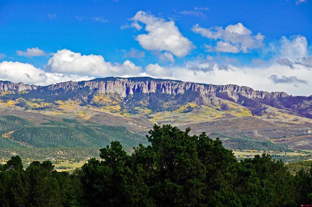 585 E Pinon Road Ridgway CO 81432