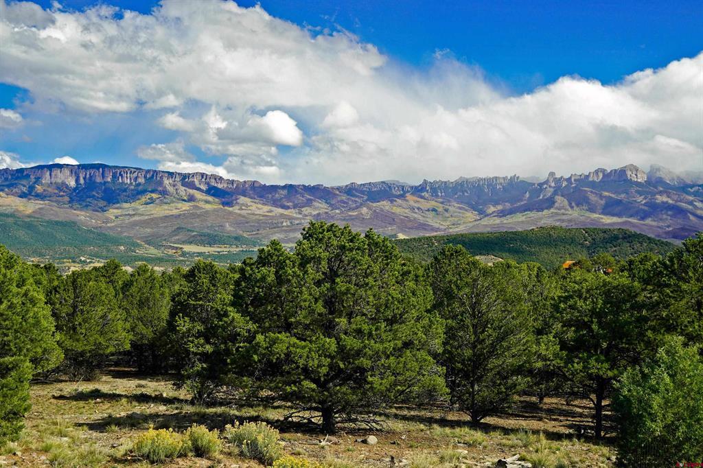 585 E Pinon Road Ridgway CO 81432