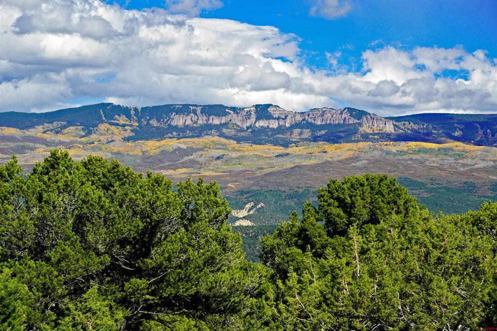 585 E Pinon Road Ridgway CO 81432