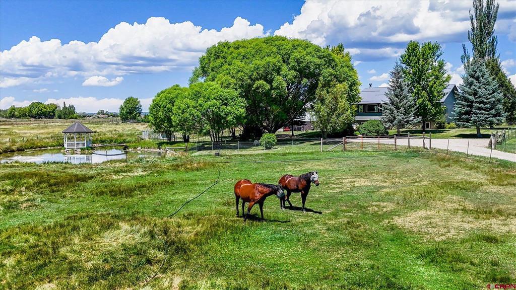 40905 Road G Mancos CO 81328