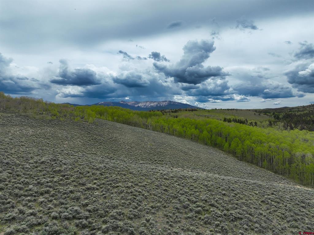 18222 County Road 743 Gunnison CO 81230