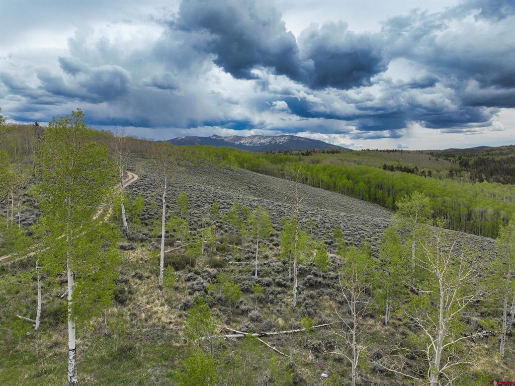 18222 County Road 743 Gunnison CO 81230