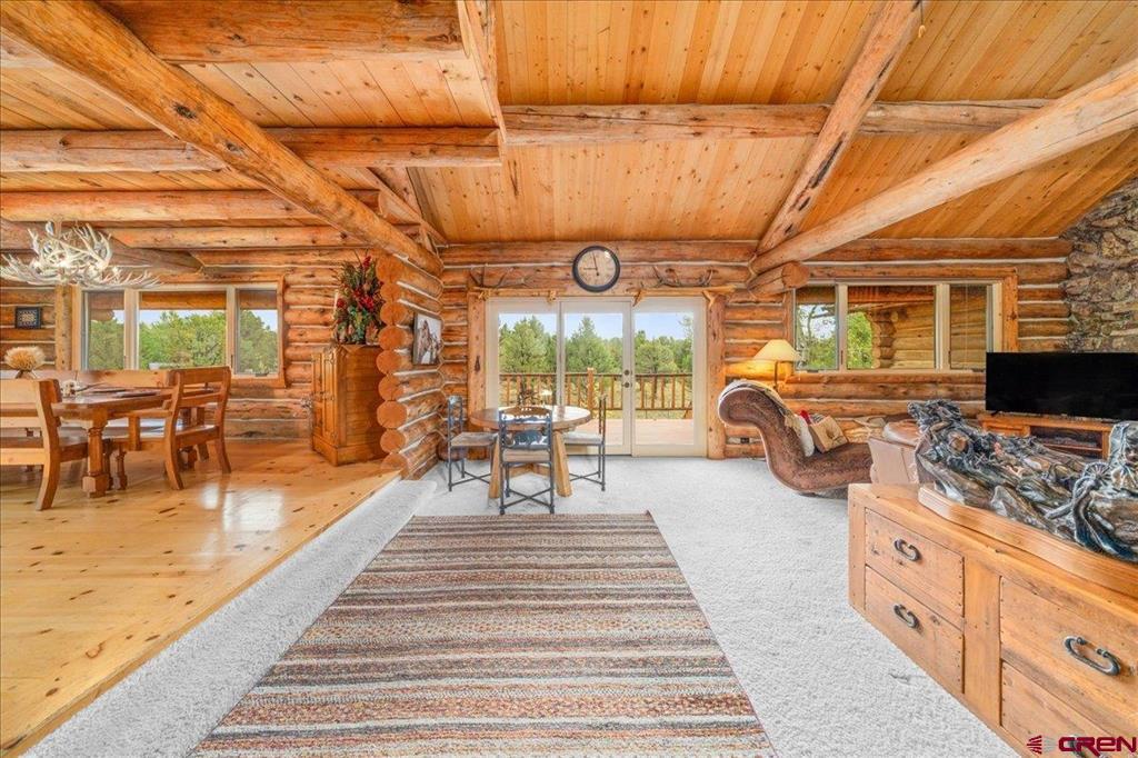 351 Pine Drive Ridgway CO 81432