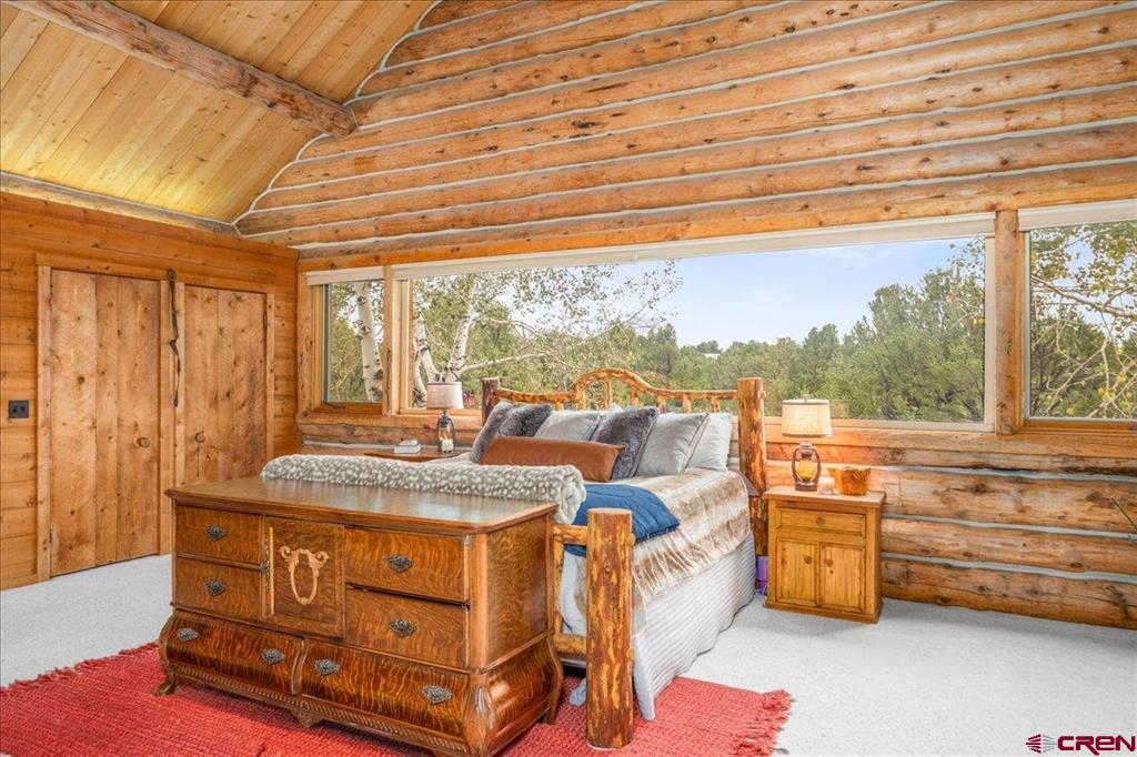 351 Pine Drive Ridgway CO 81432
