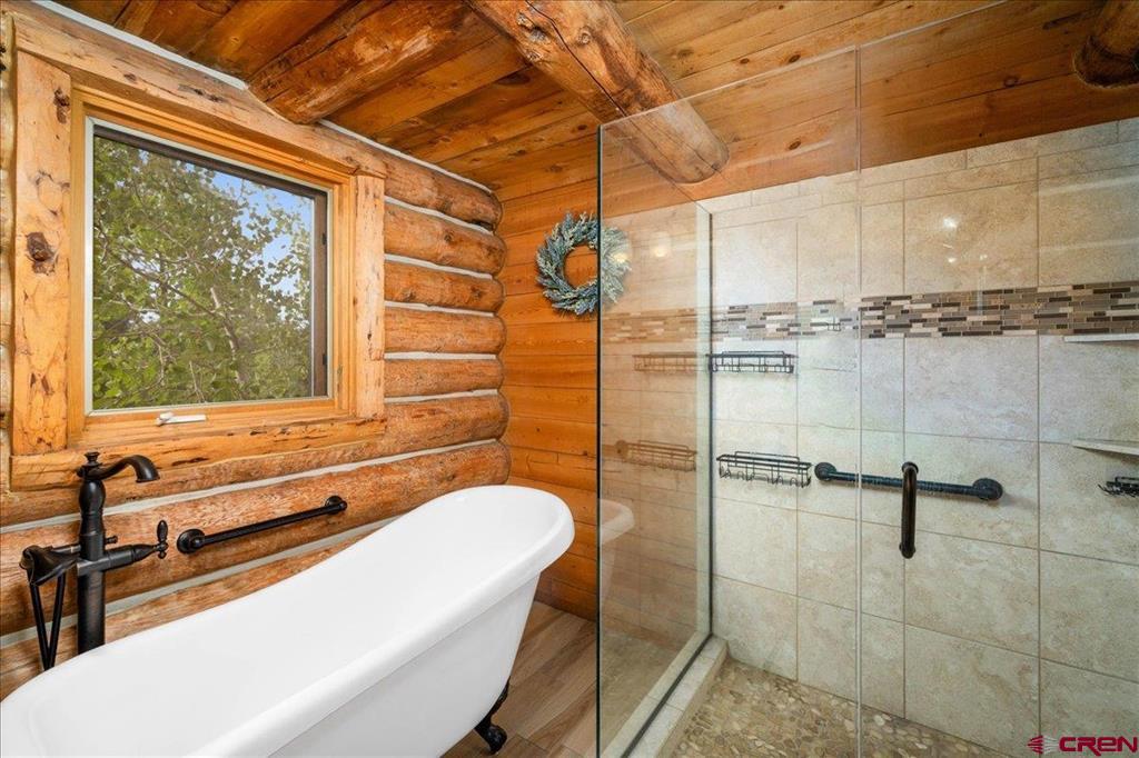 351 Pine Drive Ridgway CO 81432