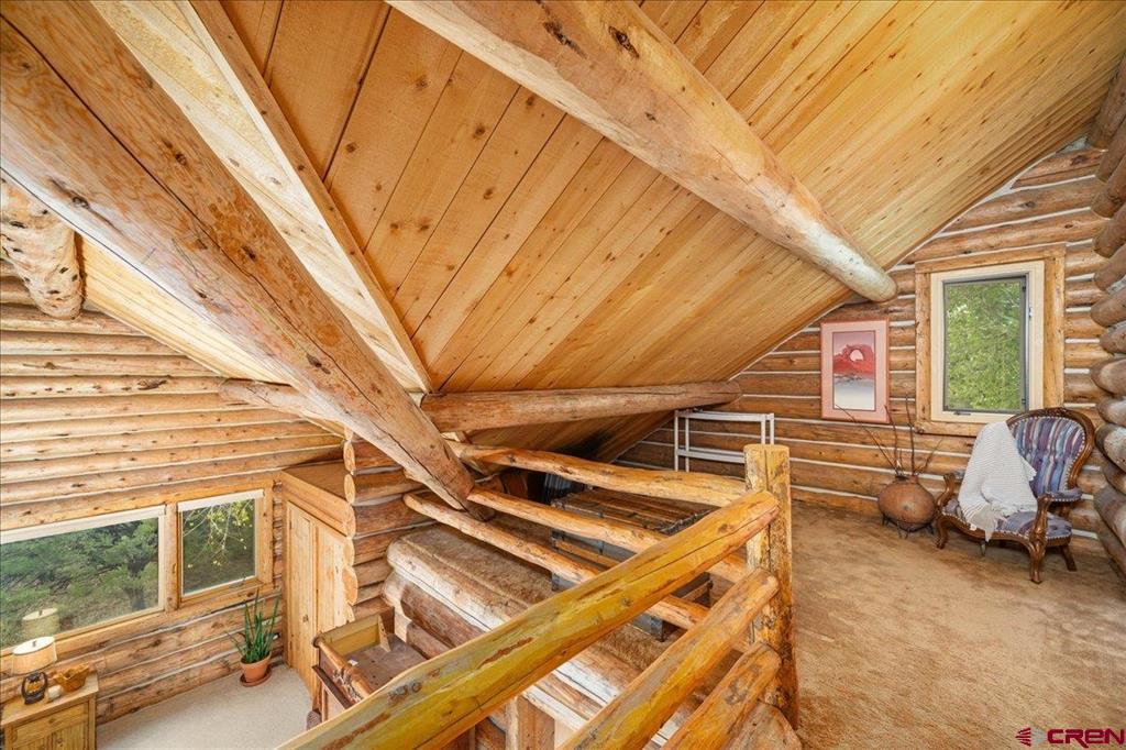 351 Pine Drive Ridgway CO 81432