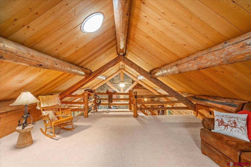 351 Pine Drive Ridgway CO 81432