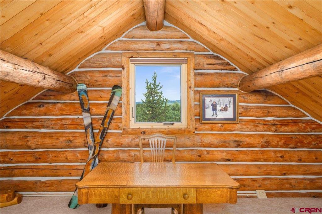 351 Pine Drive Ridgway CO 81432