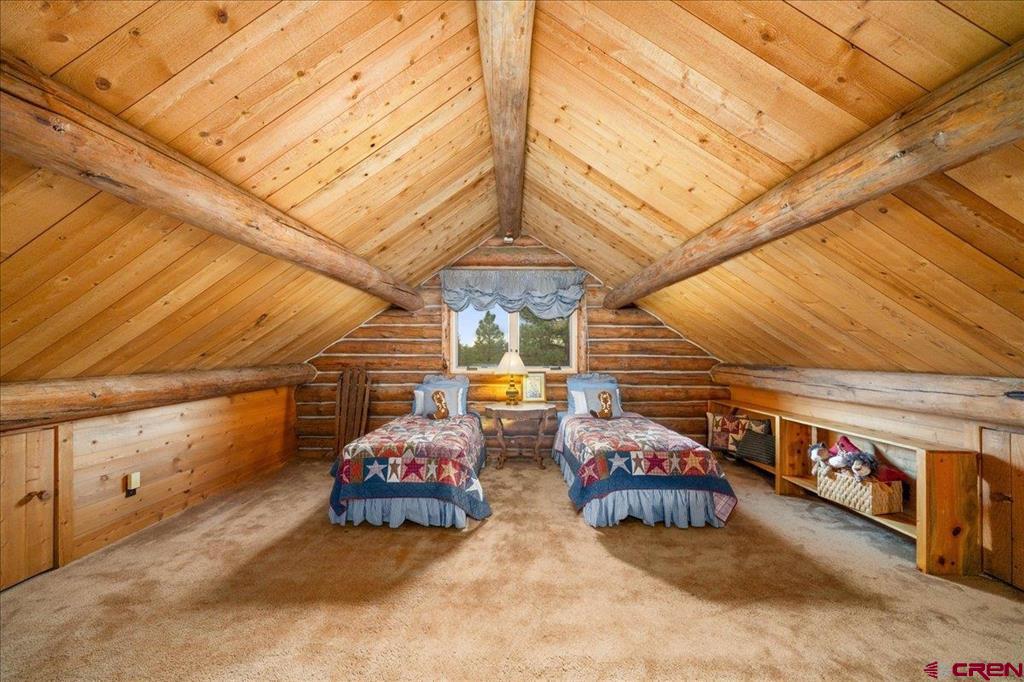 351 Pine Drive Ridgway CO 81432