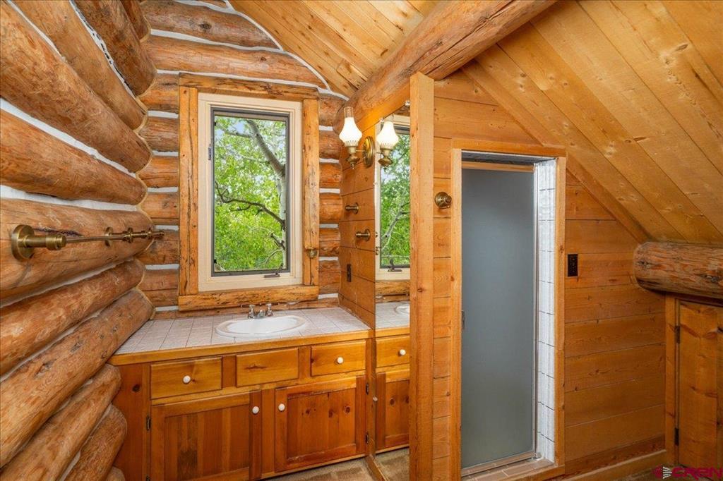 351 Pine Drive Ridgway CO 81432