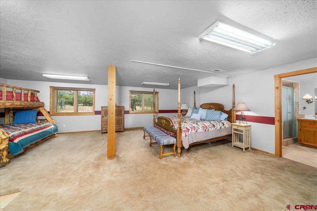 351 Pine Drive Ridgway CO 81432