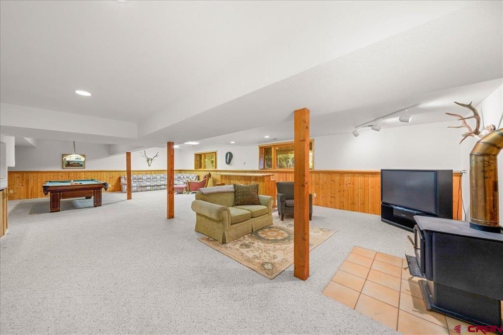 351 Pine Drive Ridgway CO 81432