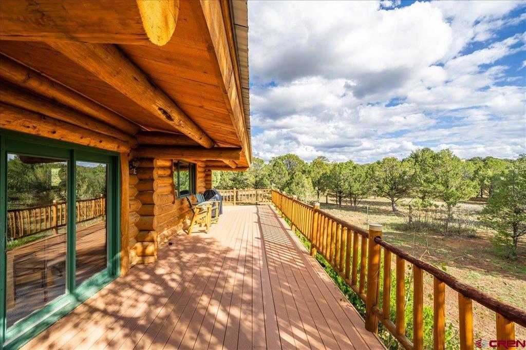 351 Pine Drive Ridgway CO 81432