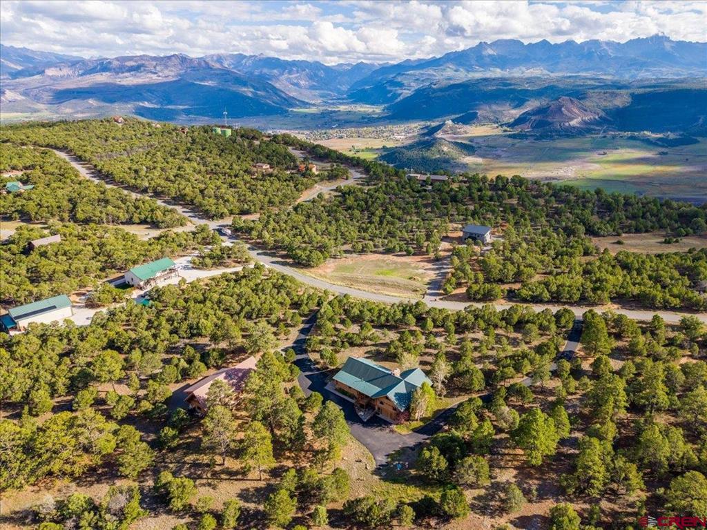 351 Pine Drive Ridgway CO 81432