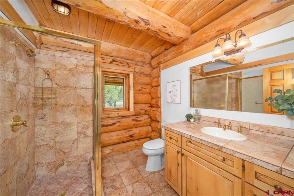 351 Pine Drive Ridgway CO 81432