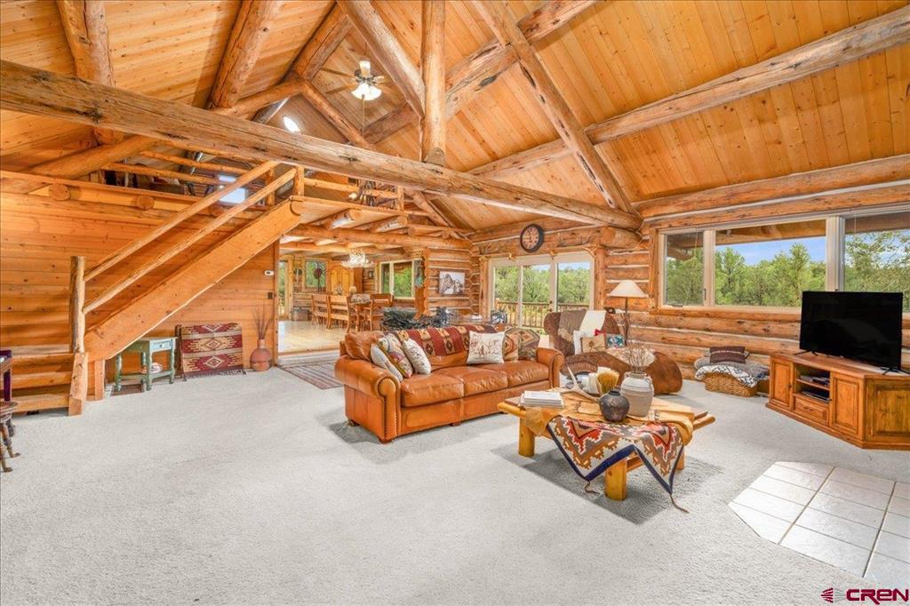 351 Pine Drive Ridgway CO 81432