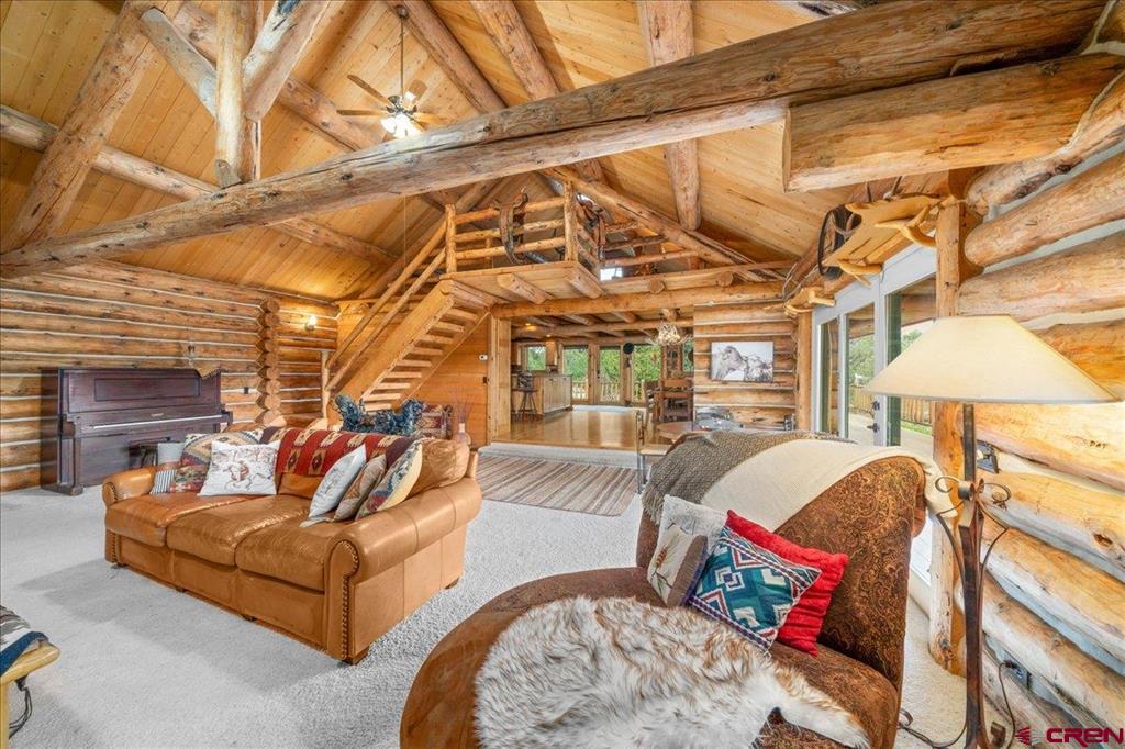 351 Pine Drive Ridgway CO 81432