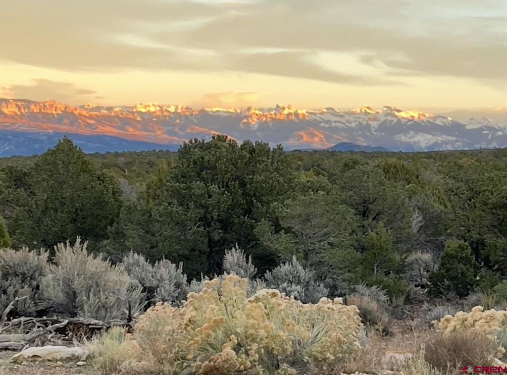 61000 V60 Trail Montrose CO 81403