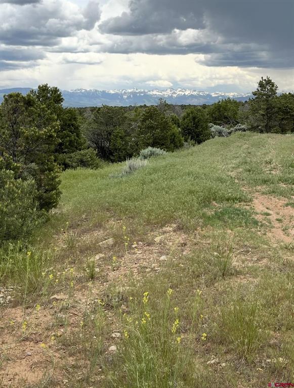 61000 V60 Trail Montrose CO 81403