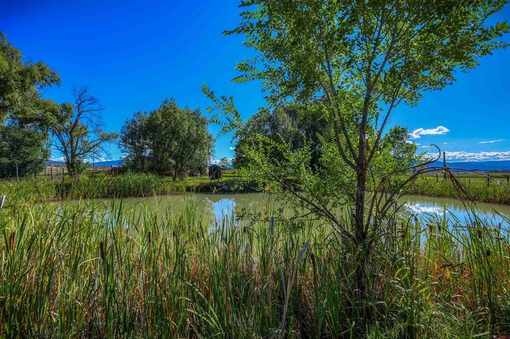 1204 County Road 332 Arboles CO 81301