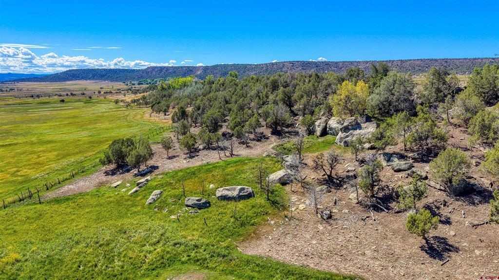 1204 County Road 332 Arboles CO 81301